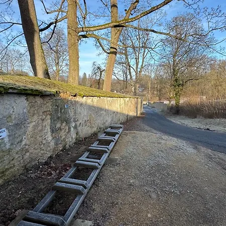 Zamek Bystrice Nad Uhlavou